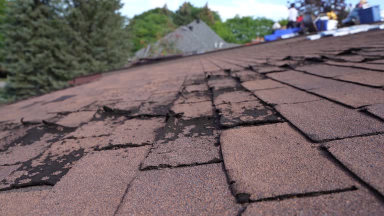 Best Storm Damage Roof Repair  in Ferndale, MI