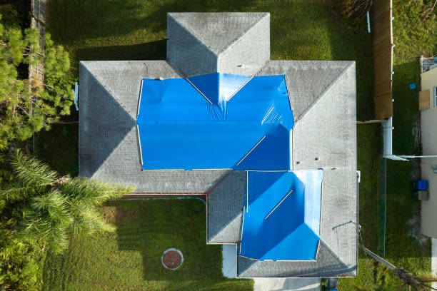 Best Asphalt Shingle Roofing  in Ferndale, MI