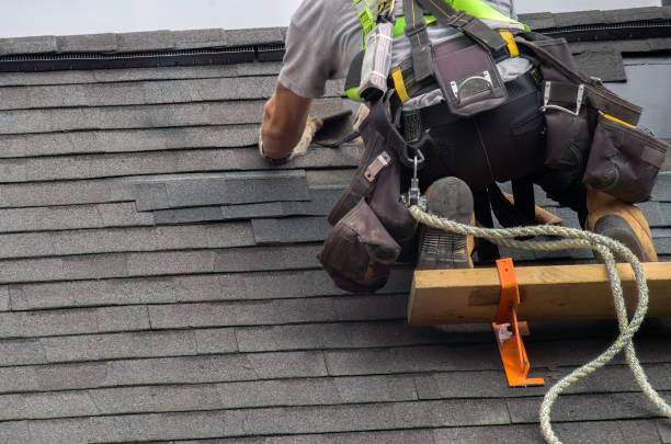 Best Roof Moss and Algae Removal  in Ferndale, MI