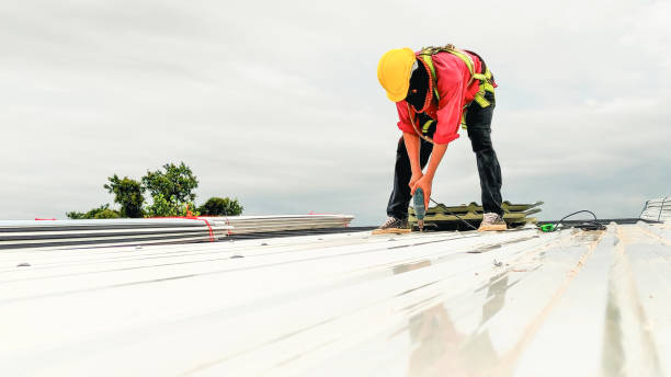 Best Roof Leak Repair  in Ferndale, MI