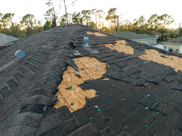 Best Chimney Flashing Repair  in Ferndale, MI