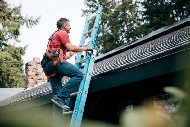 Best 4 Ply Roofing  in Ferndale, MI